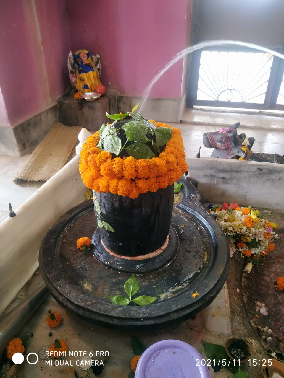 Kashi Purohit gallery — 15