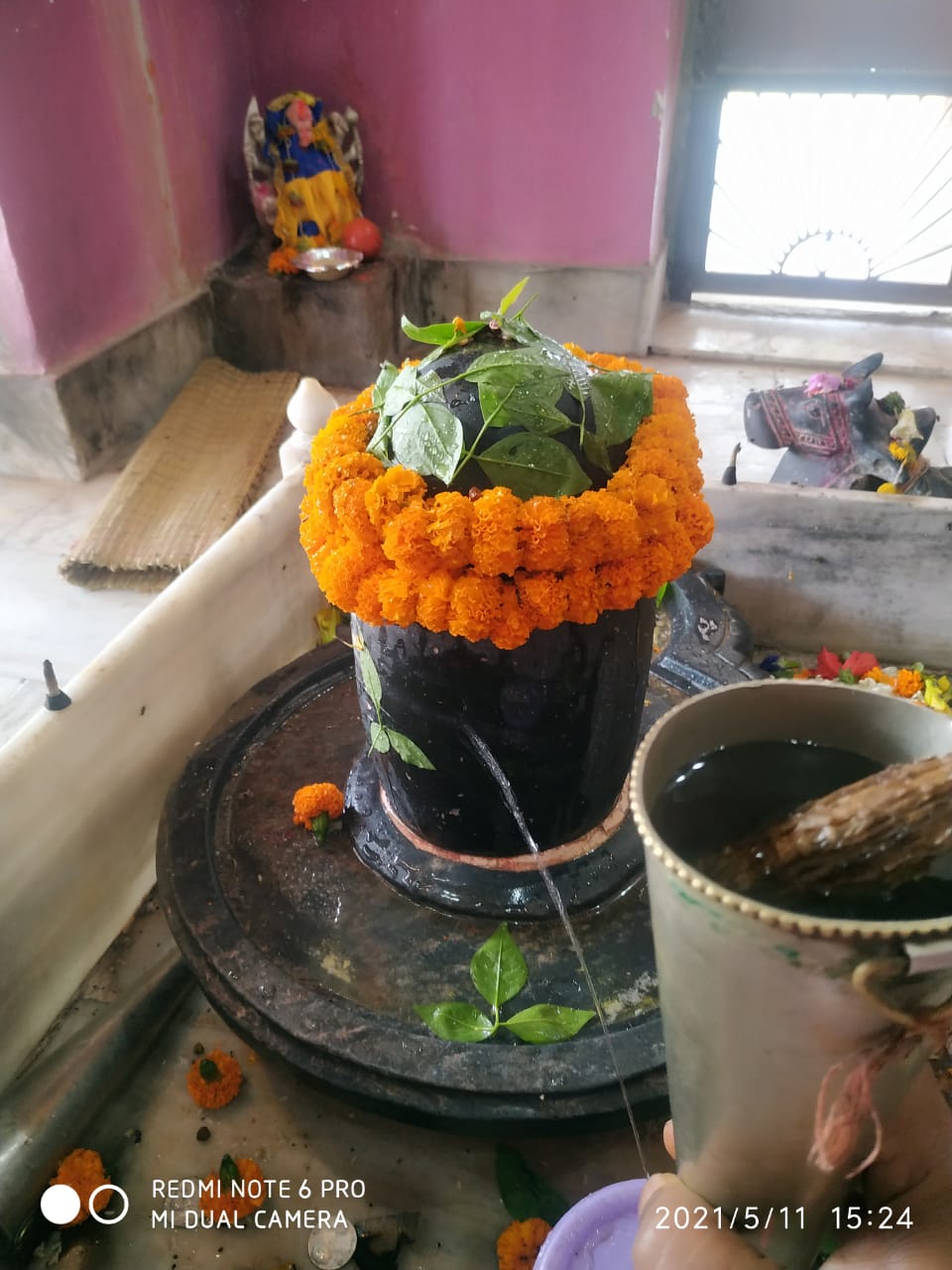 Kashi Purohit gallery — 16