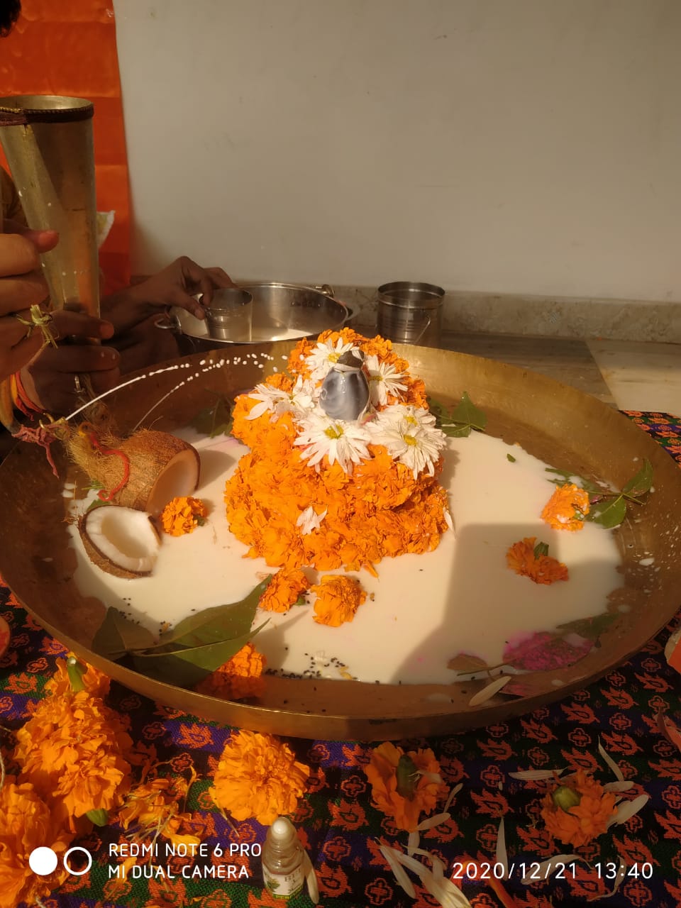 Kashi Purohit gallery — 17