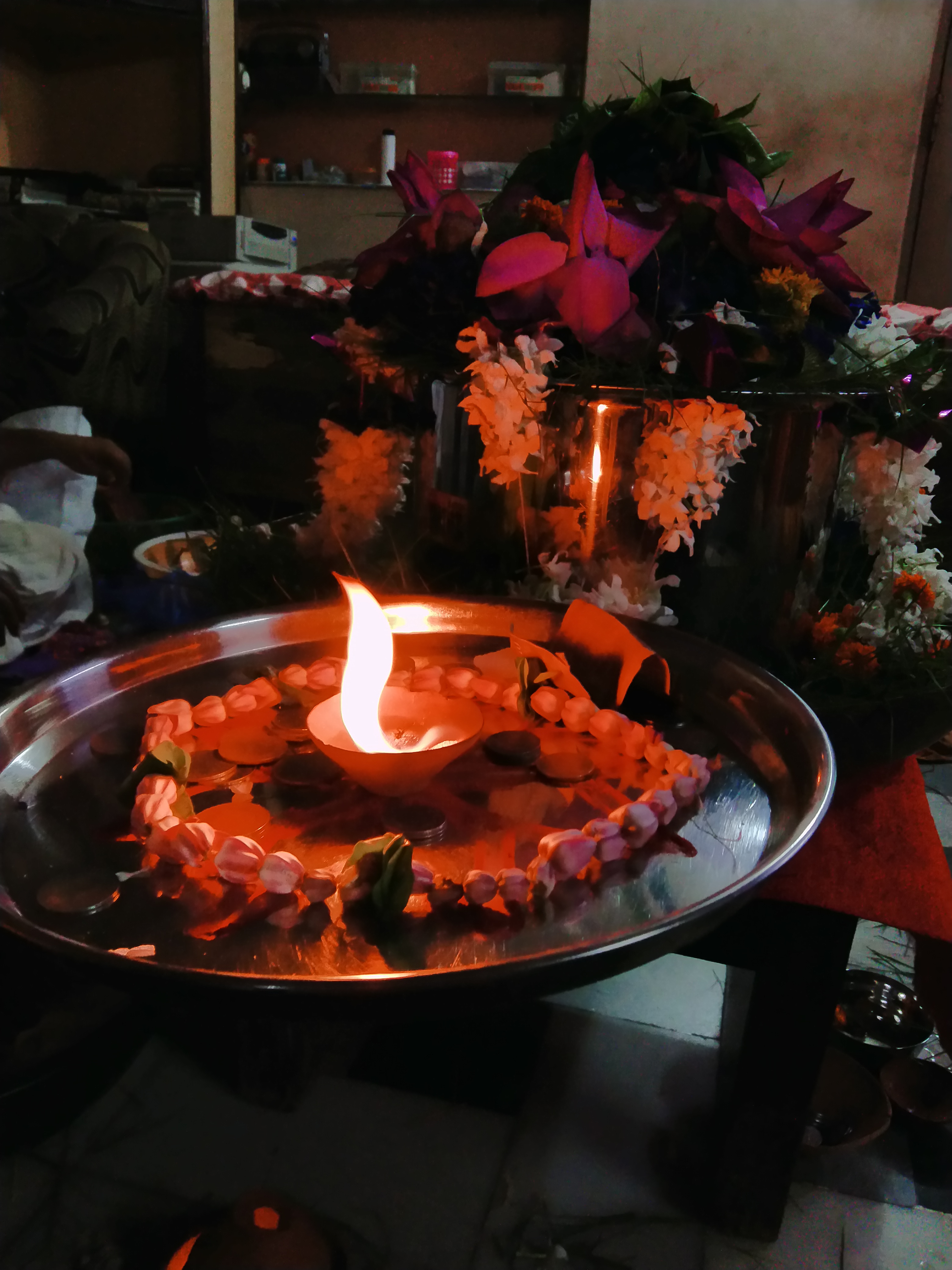 Kashi Purohit gallery — 4